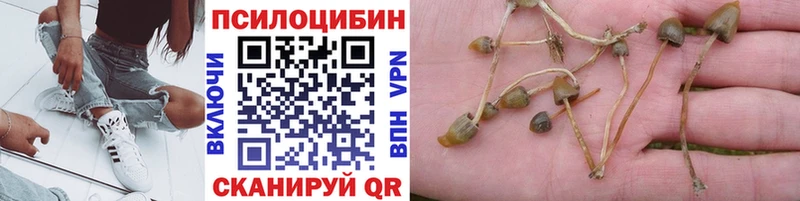 Псилоцибиновые грибы мухоморы  ОМГ ОМГ онион  Симферополь  купить наркотик 